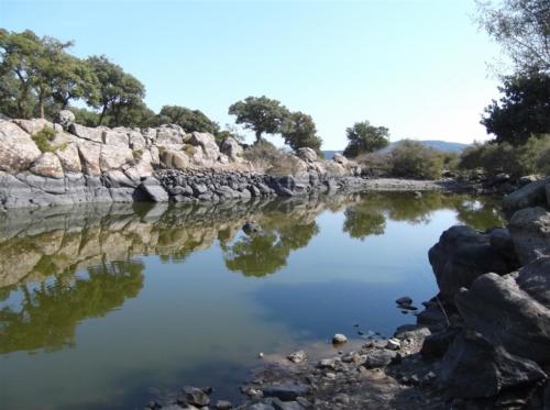 Turtle pool near Skalachori Lesvos